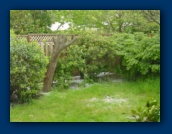 May 16, 2003
Chopped Apple Tree